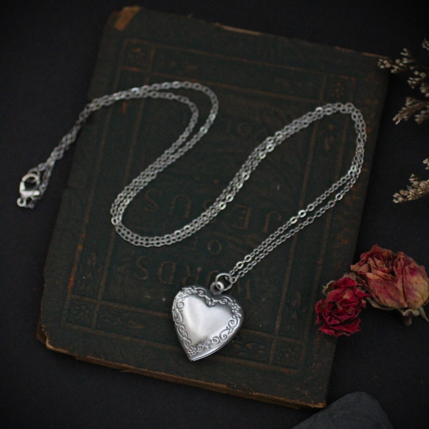 Bone and Tooth Lockets  Oddity jewelry necklaces teeth