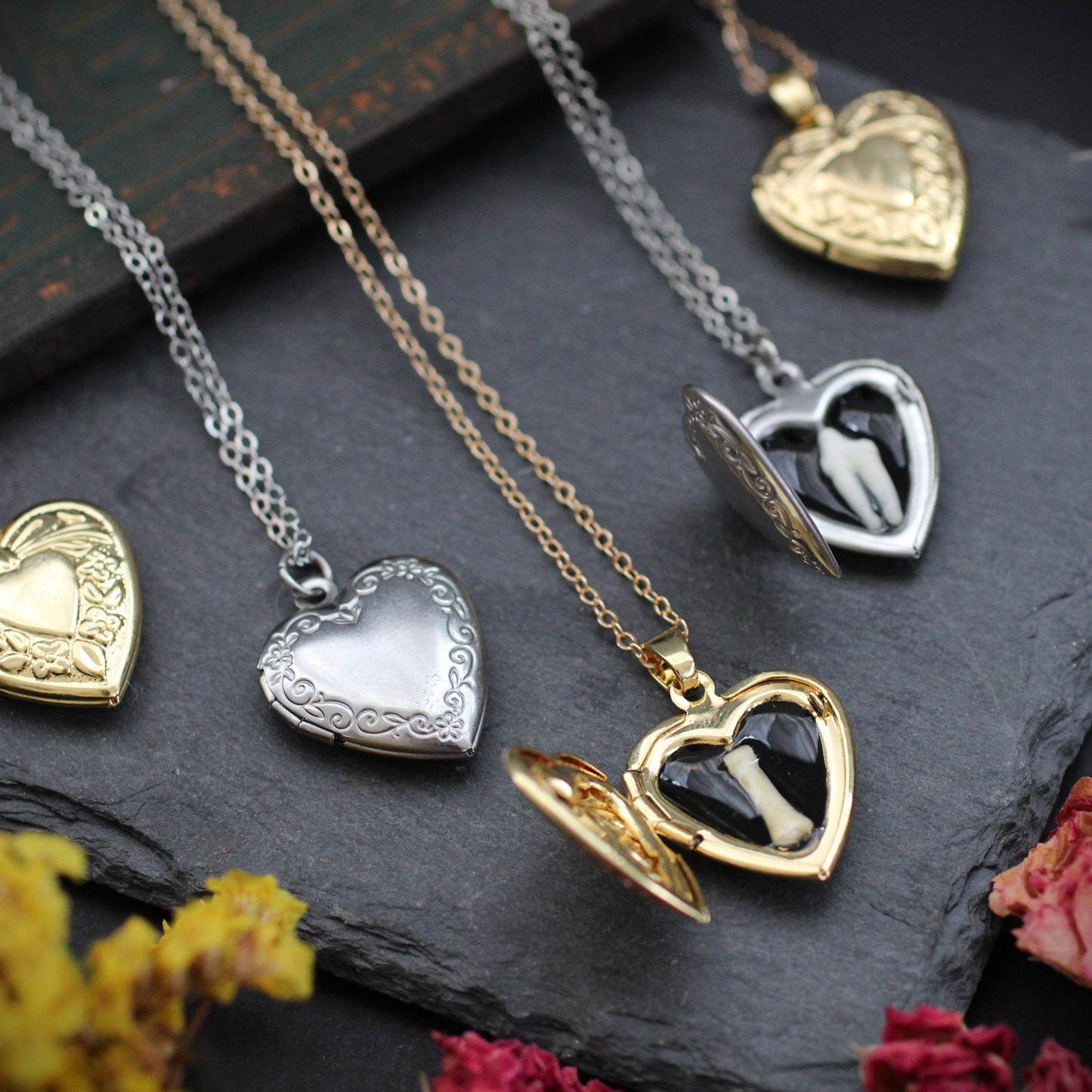 Bone and Tooth Lockets  Oddity jewelry necklaces teeth