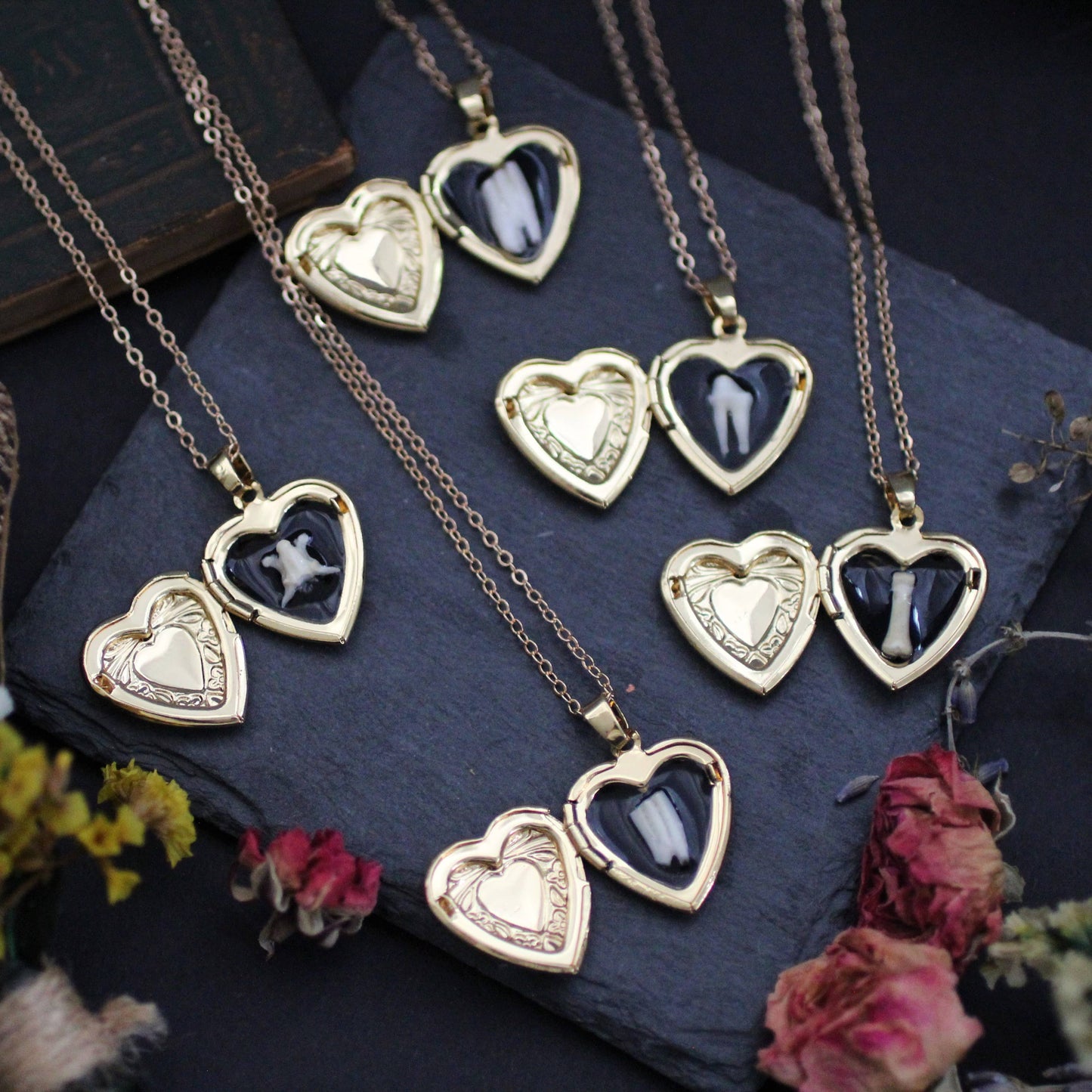 Bone and Tooth Lockets  Oddity jewelry necklaces teeth