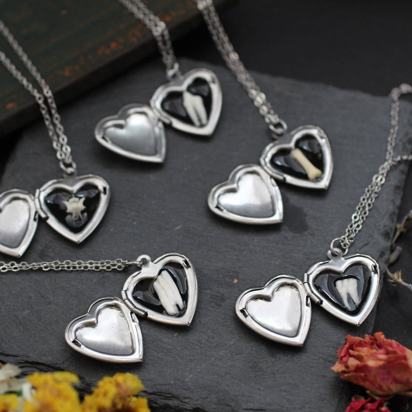 Bone and Tooth Lockets  Oddity jewelry necklaces teeth