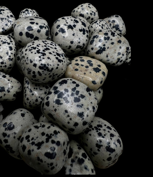 Dalmation Jasper Tumble