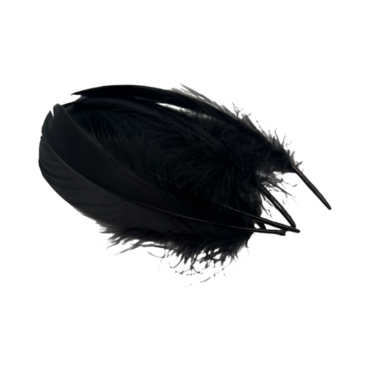 Black Goose Feathers